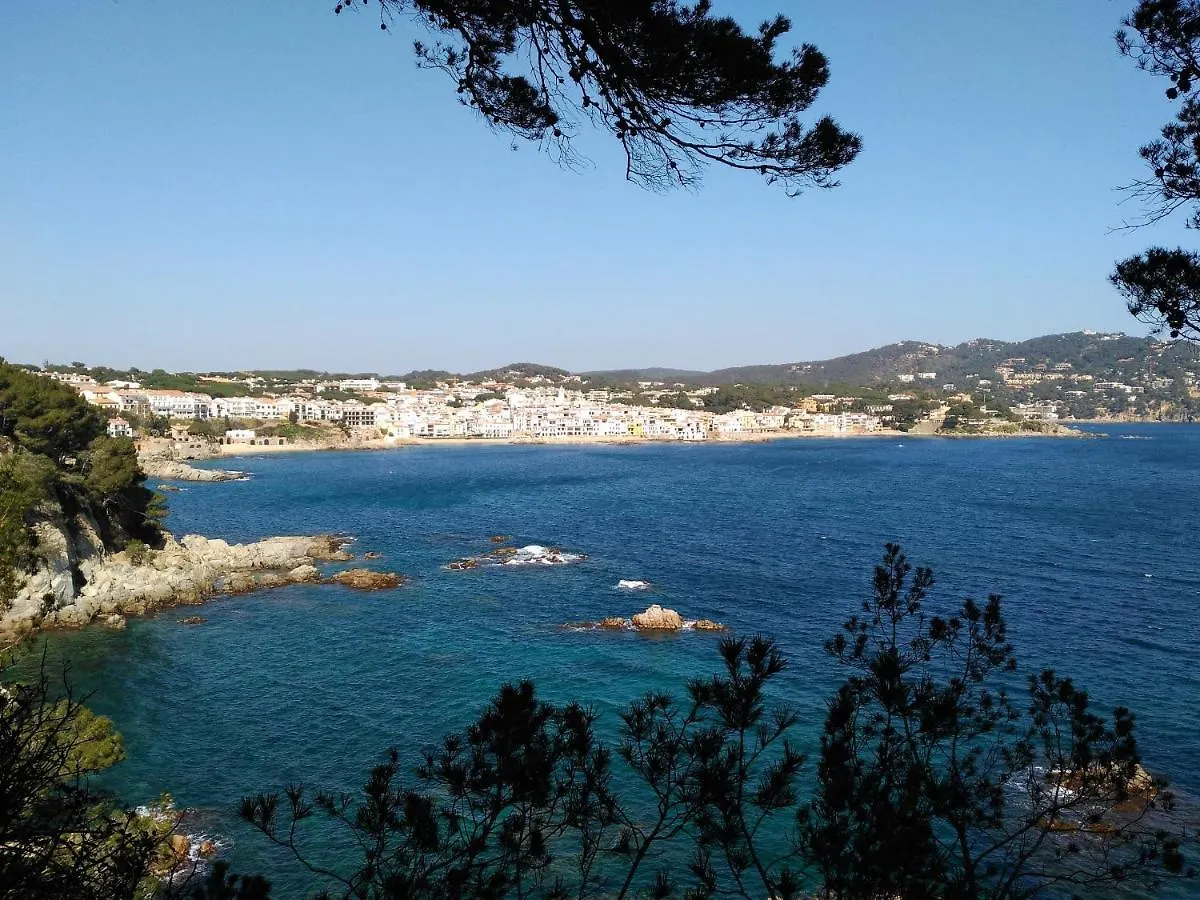 Apartment Las Dunes 3H Con Preciosa Vista Frontal Al Mar 317 Pals Spain